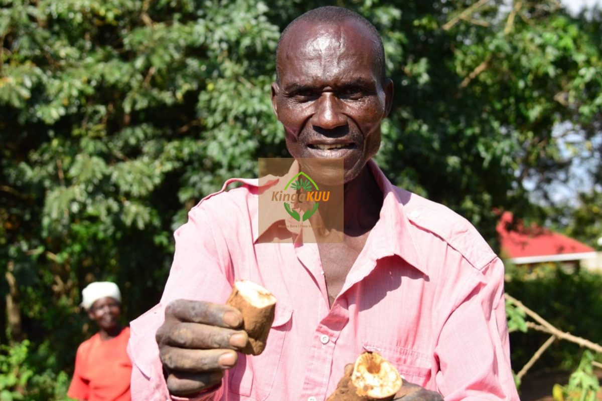 Untitled design (13)