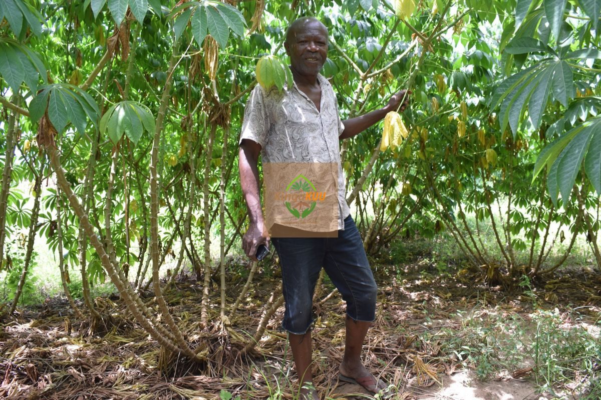 Untitled design (18)