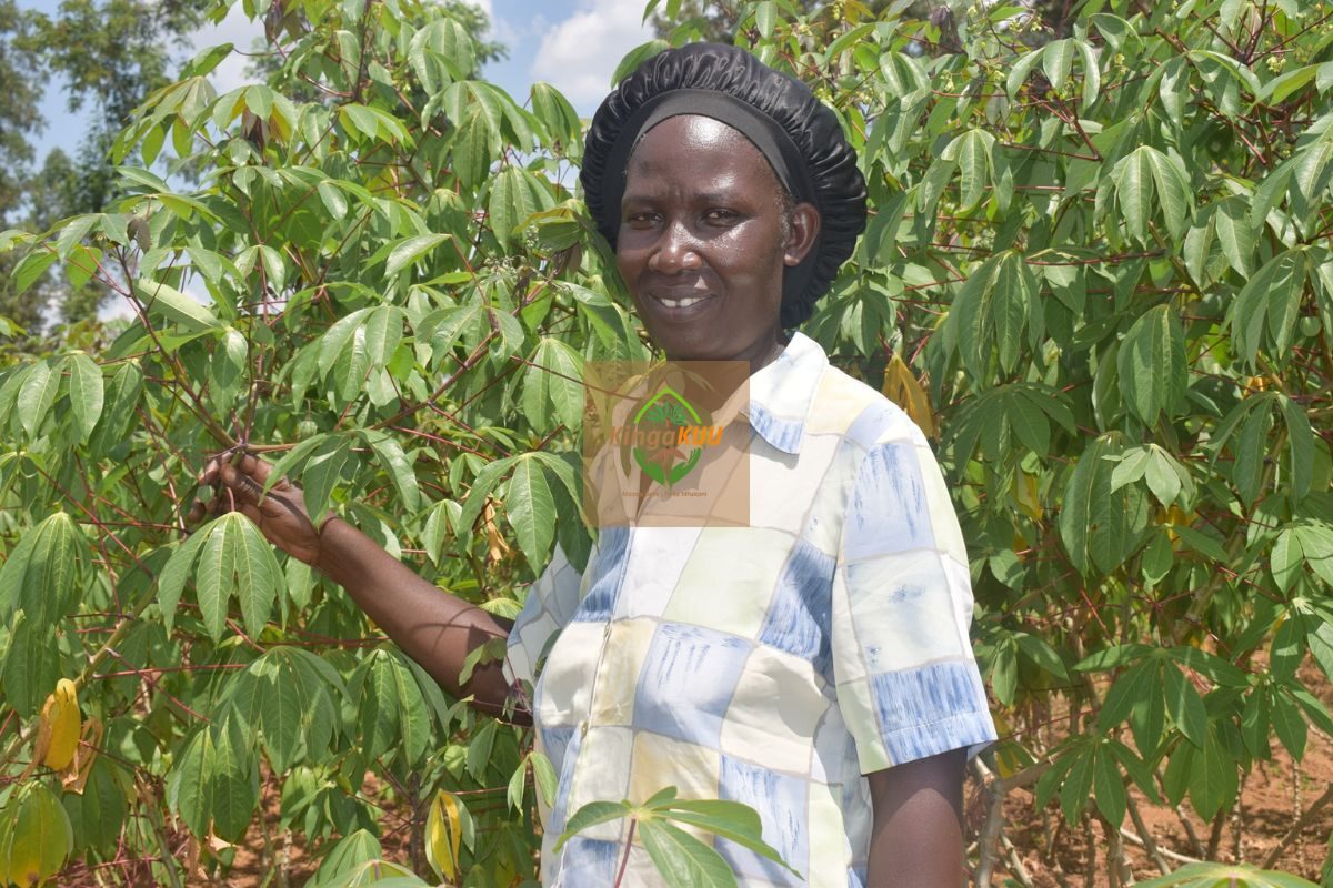 Untitled design (19)