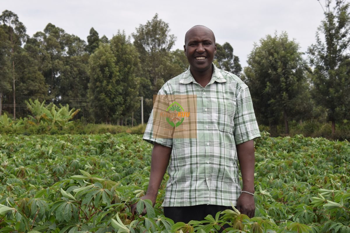 Untitled design (20)