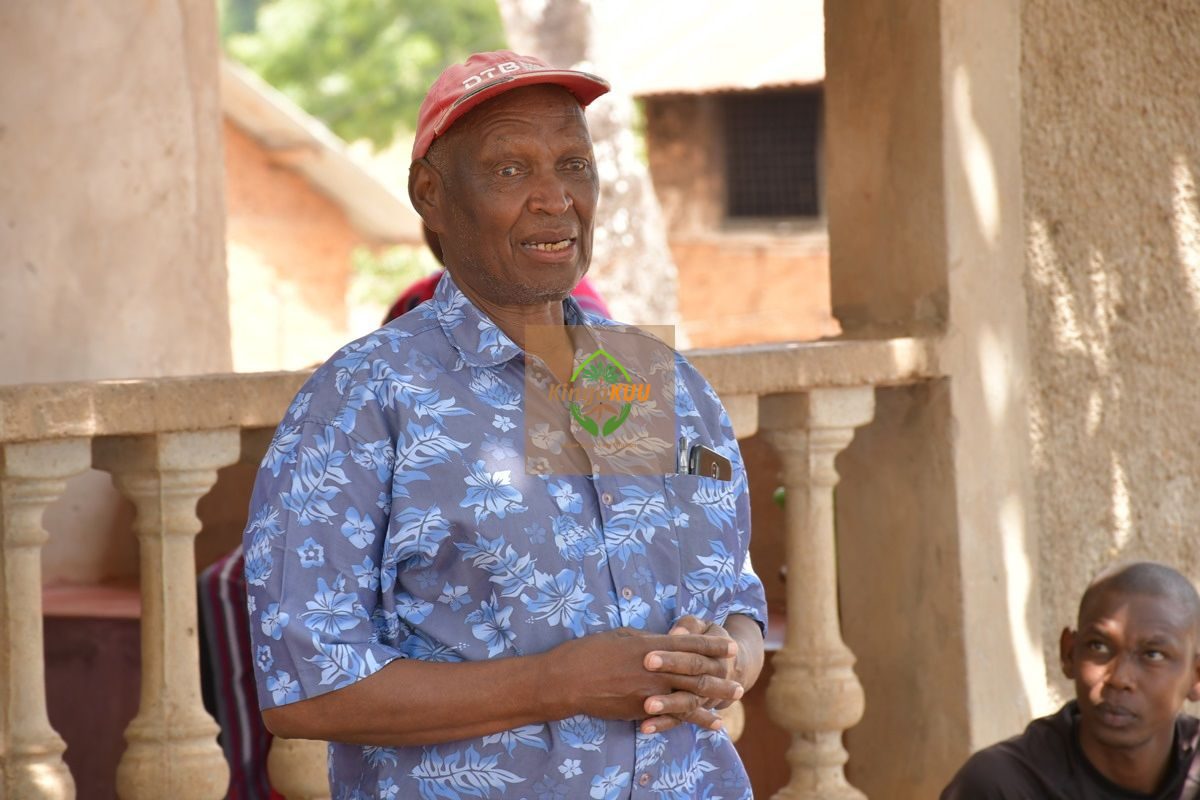 Untitled design (23)