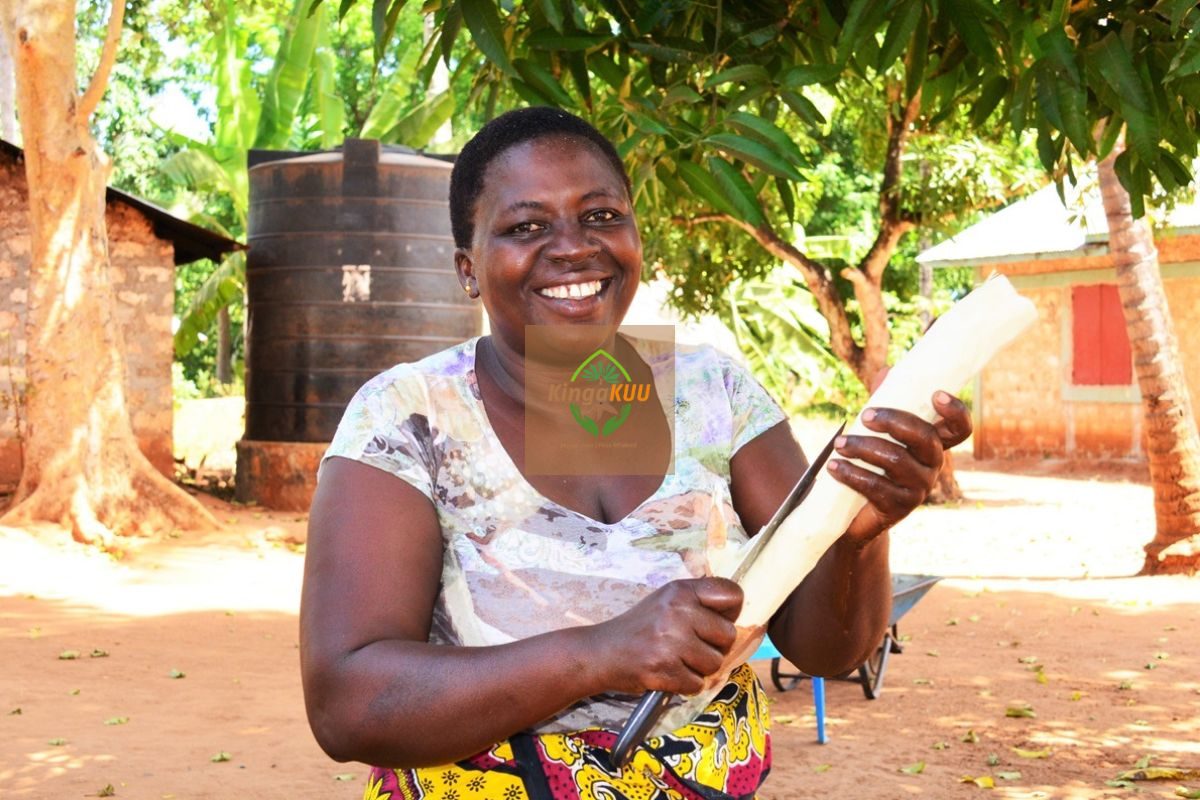 Untitled design (24)